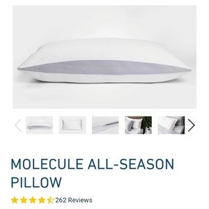 MOLECULE ALL-SEASON PILLOW